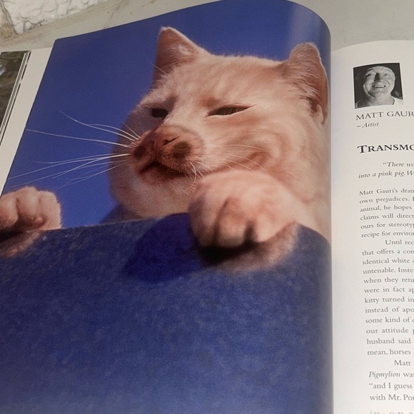 Colorful Vintage Cat Art Print Book Home Decor “Why Paint Cats” - Picture 6 of 15